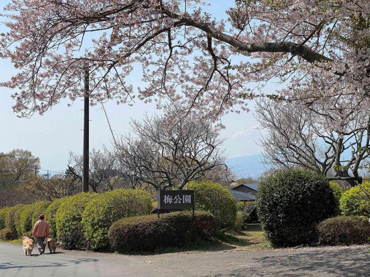 ピアノ付ログハウス貸別荘　南箱根タントンハウス 函南町 エクステリア 写真